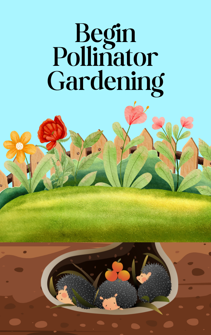 Begin Pollinator Gardening
