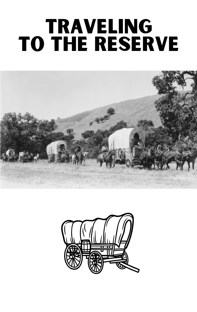 A picture of several covered wagons being pulled by horses. 