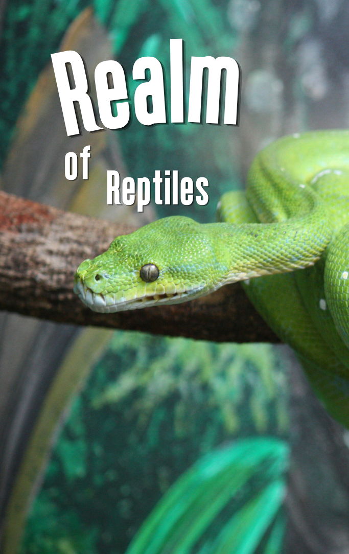 Realm of Reptiles