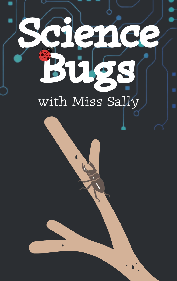 Science Bugs with Miss. Sally