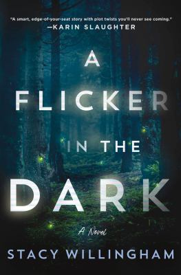 Book: A Flicker in the Dark